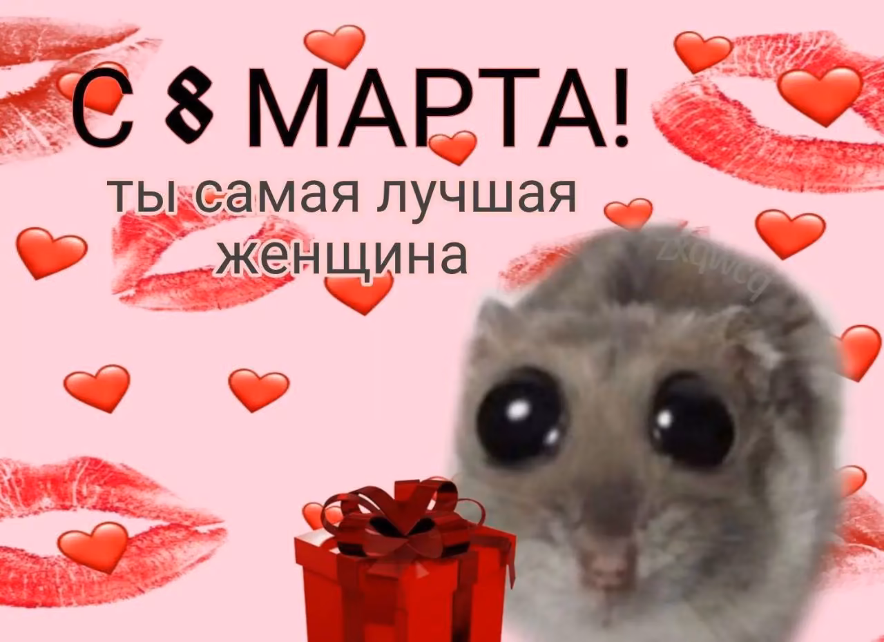 7f4fd22078913626e73680dba59ecb6d.avif