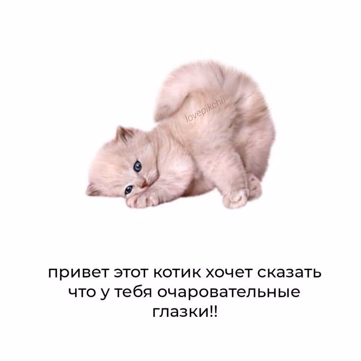7f750eb40b5e0cd5dbd9d8d6de8f3c01.avif