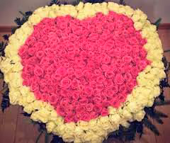 7f88b62ee6b9bc5e942b8f8ebd658d63.avif