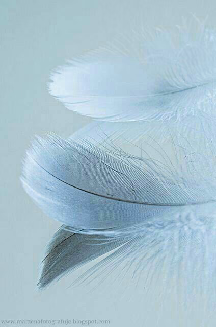 7f9c877335eabffec1f056e6d045712b.avif