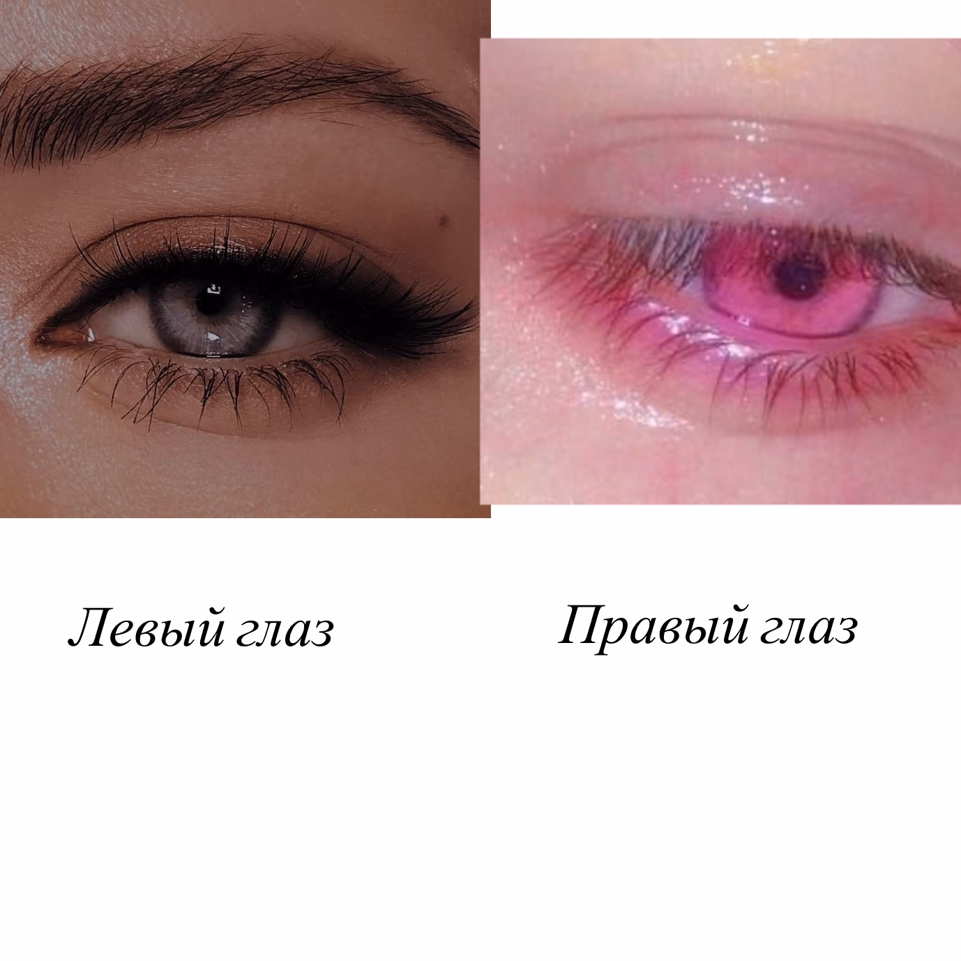 7fa5b70f4556a2079257b839c07bbd37.avif