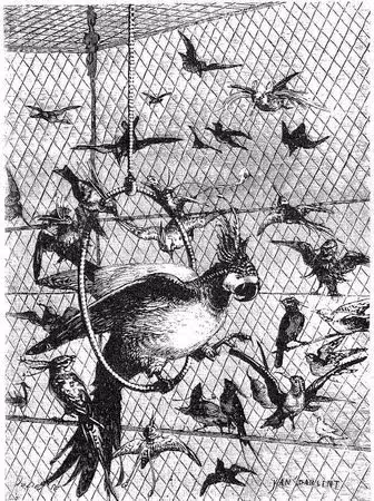 7fa98458458f7162c140d9910a931741.avif