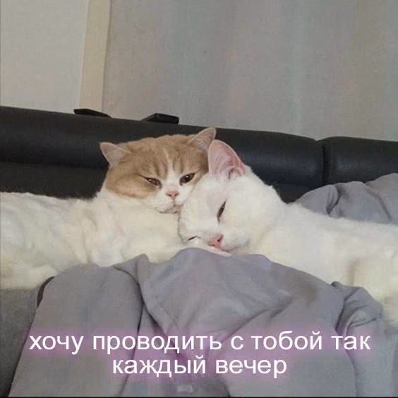 7fb6eb083db7f7603e51882a2f4e9601.avif