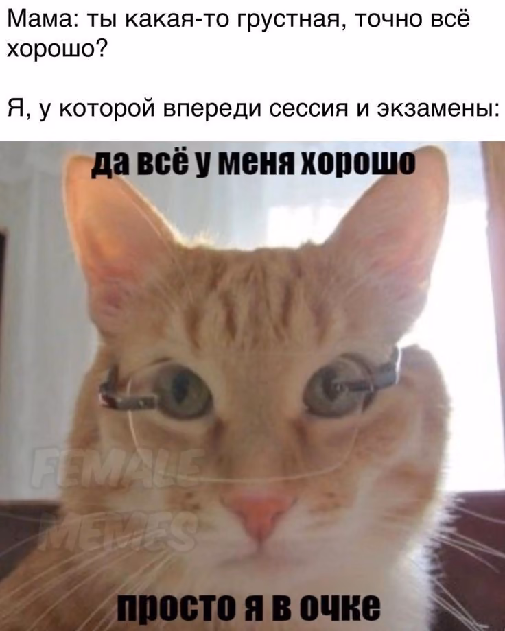 7fb735b1fefc62735ef99f5fded0ecb9.avif