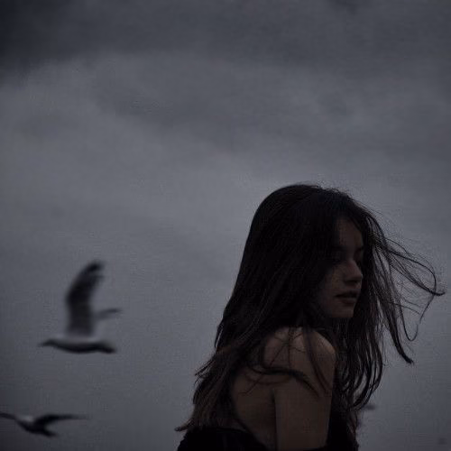 7bfd6b62495ce49a8648a44cbbd308fc.jpg