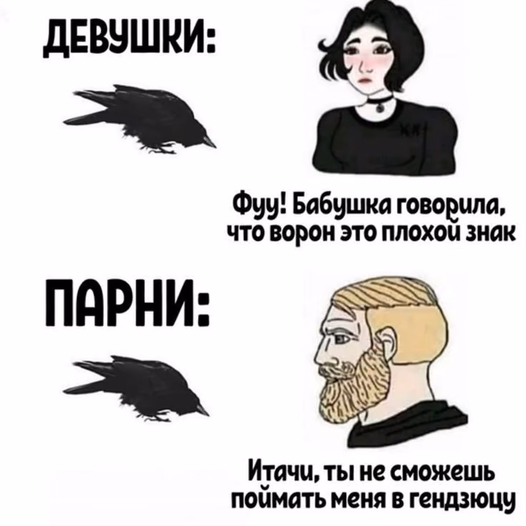7fc491df6cf785211bf5e3a6c0f67d80.avif