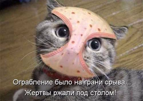 7fdf9824895420d1e15972f23e24725d.jpg