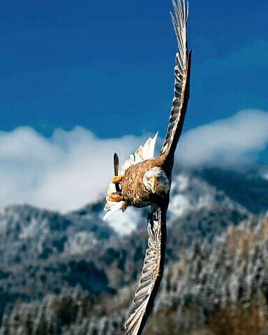 7fe4ad6e7be9af6afde711ac646922ac.avif