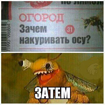 7fe56aabffa88e17159c538cca2b299d.avif