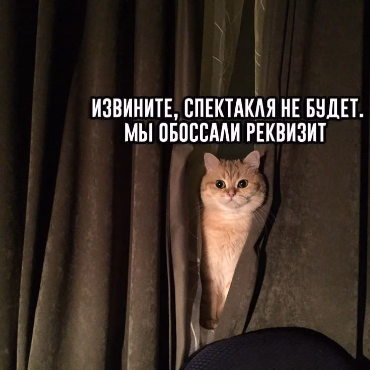 7fea0513022959dc7c3c514eb0bfd894.avif