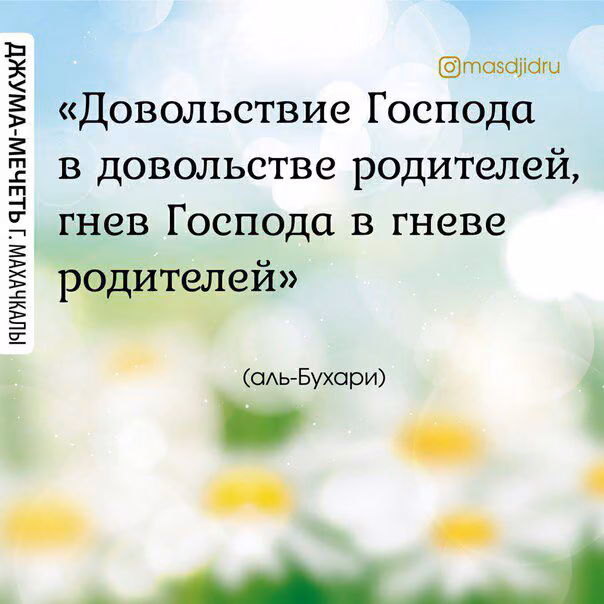 7fecad4c6d6e4587ba701a5b5c930879.avif