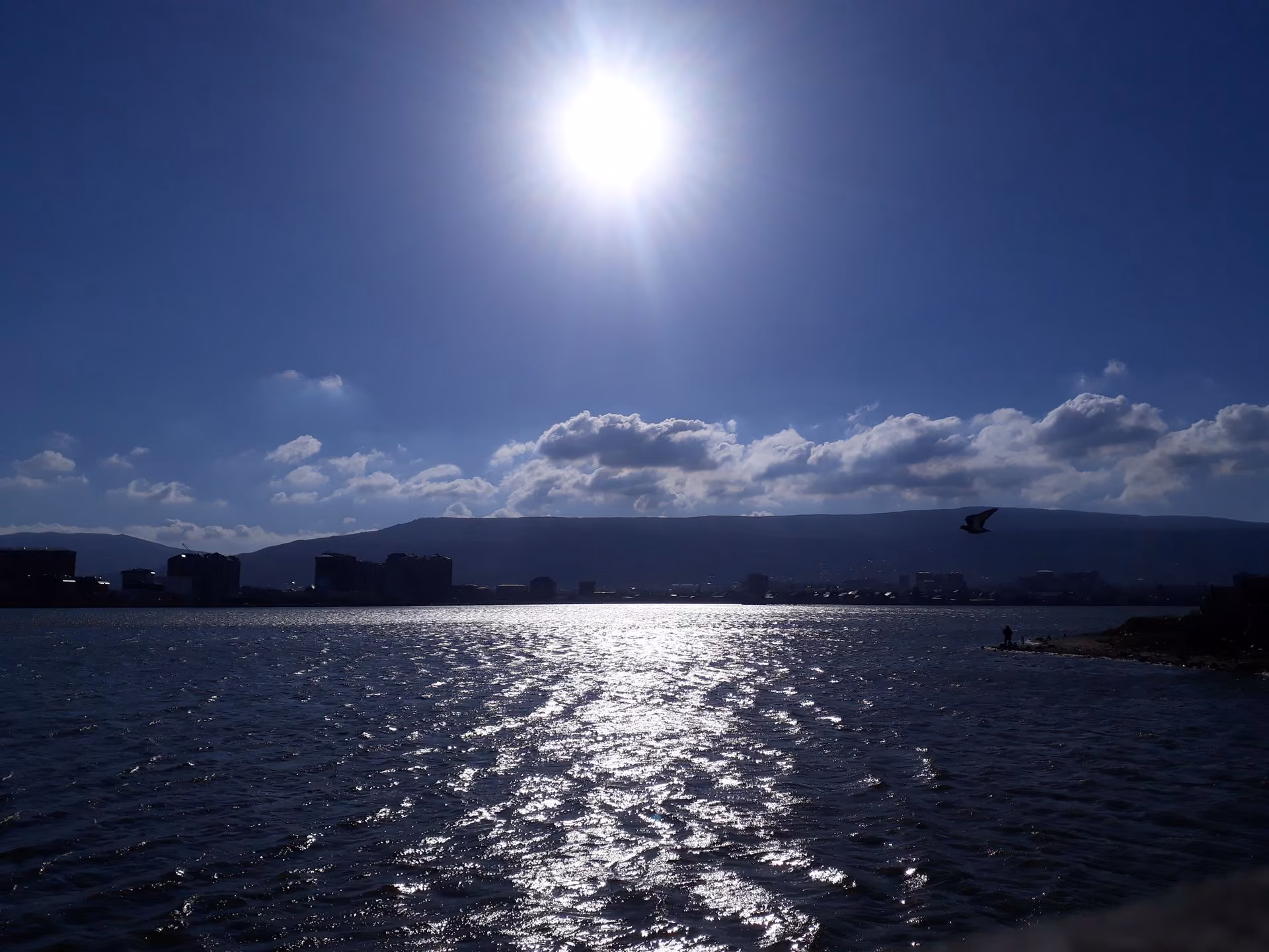7fede8248b4c4e0942b138cafb26d359.jpg