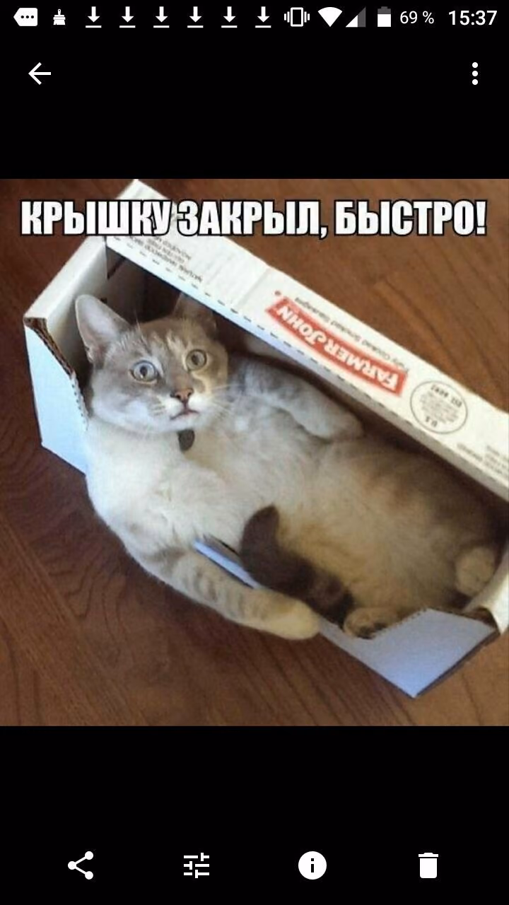 7fffd7375710c301d56e1e846d93004a.jpg