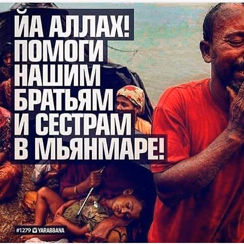 80008521963fcd37f9a8adaba078d1af.avif