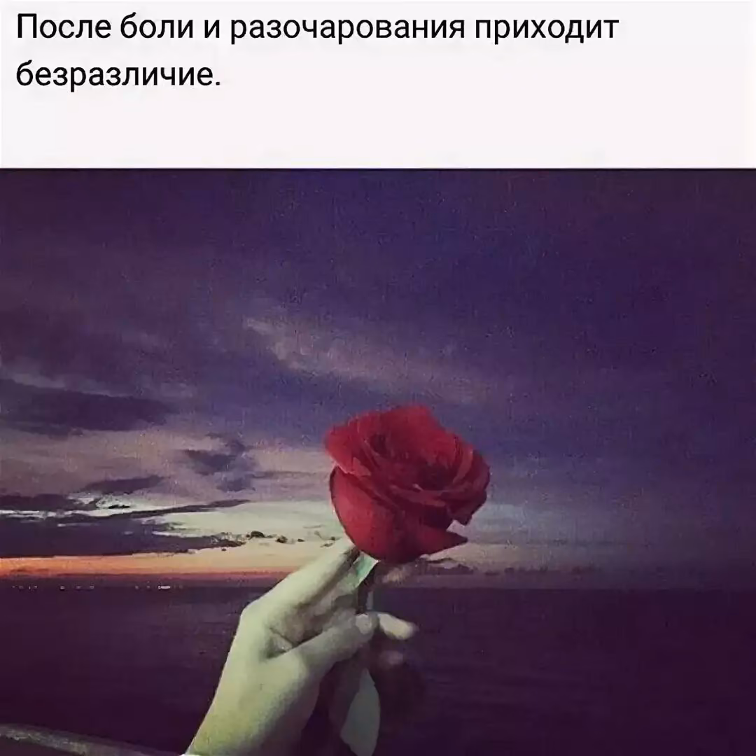 80022c6b5ce50971f48ae31b8fc6dd3b.avif