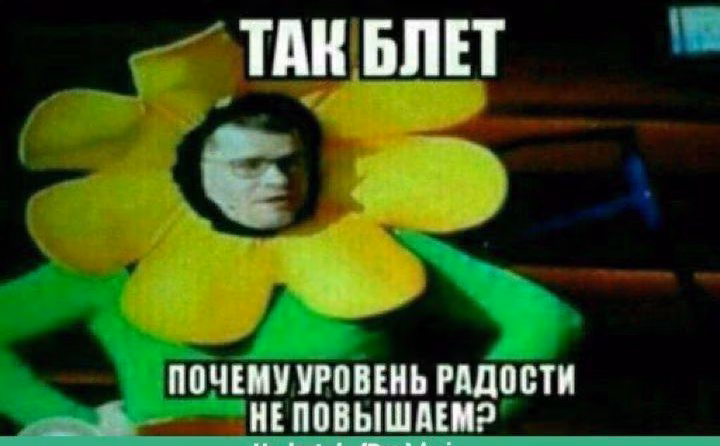 8002acf88d1317d1510357264f4c8255.jpg