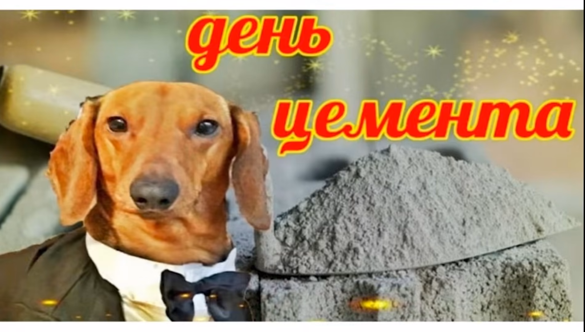 80084486c427556f91d18316a0219000.jpg
