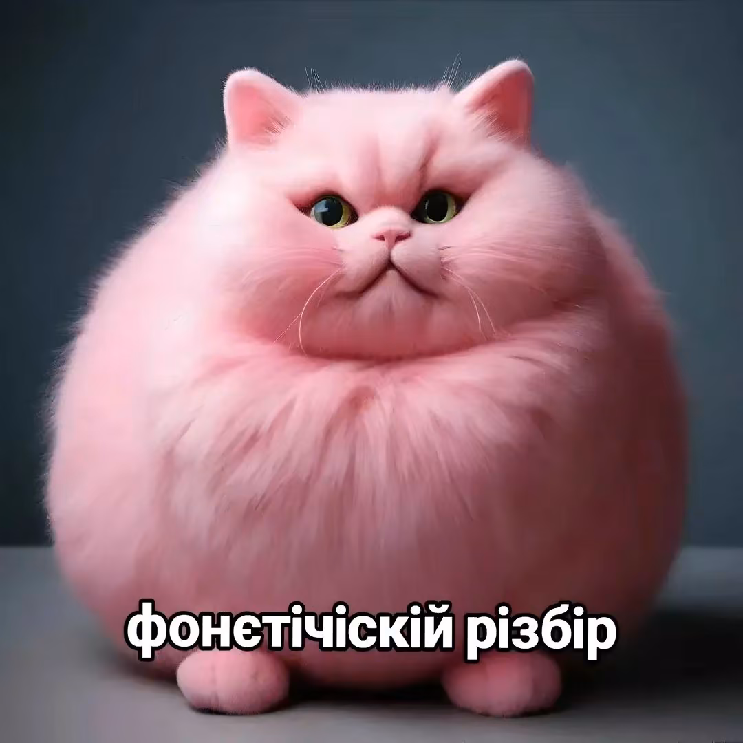 801324580459103d27690fd8f46a9875.jpg