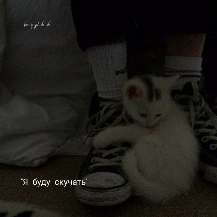 801648565aad816fa2e342ce1d3e818c.avif