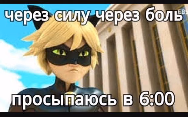 8024d4e7d135e41649084f295d162881.jpg