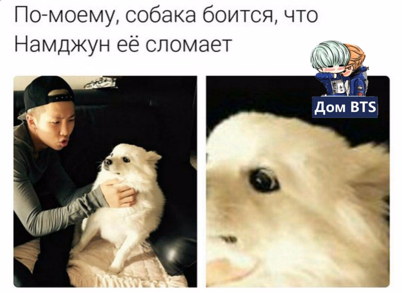 8031af61ea4638ab5a3ff8efb454dd3b.avif