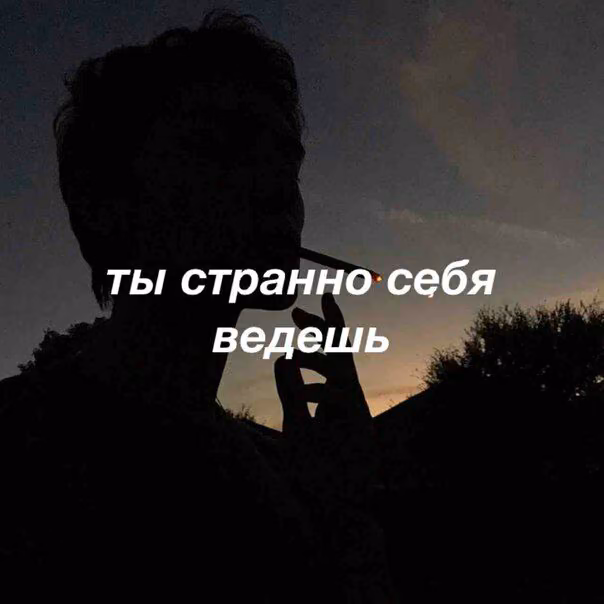 803b10c3b49fa1e105929c4926dd59c0.avif