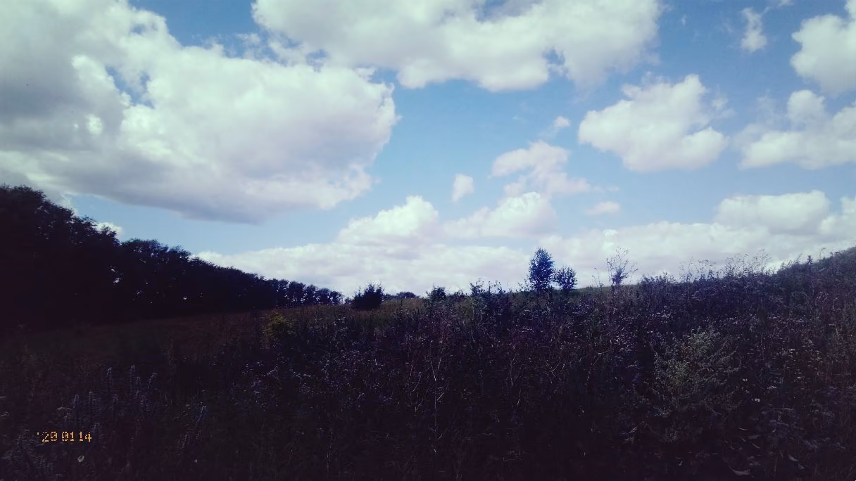 804a90761721fe2474c67460db09e13e.jpg