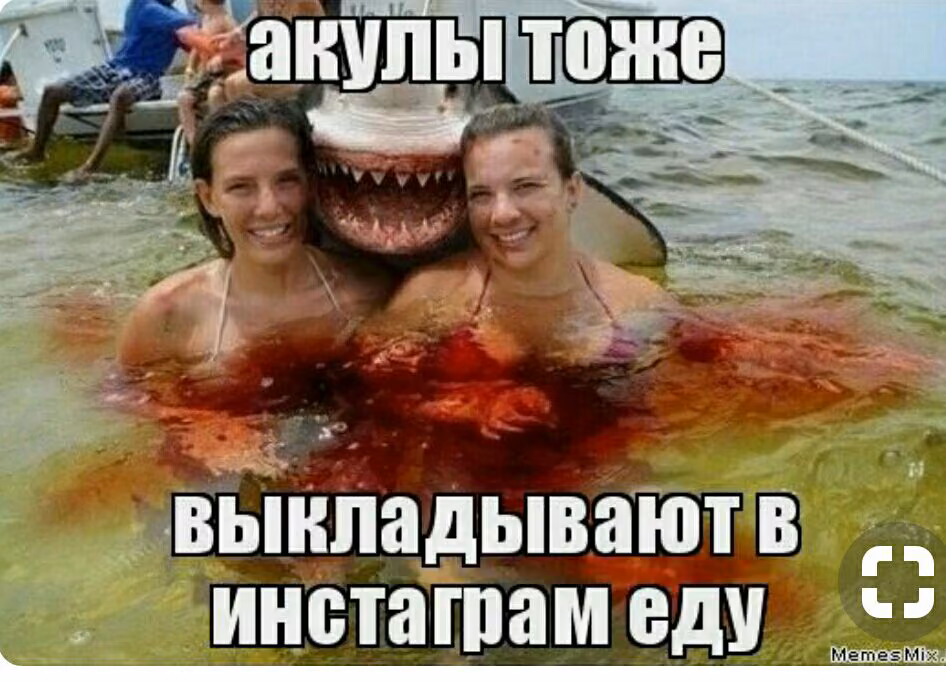 804a980ea9348d7c79487e33791438a3.jpg