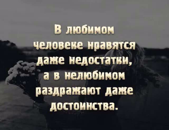 805106adb63974cb292c19e9d6f380fa.jpg
