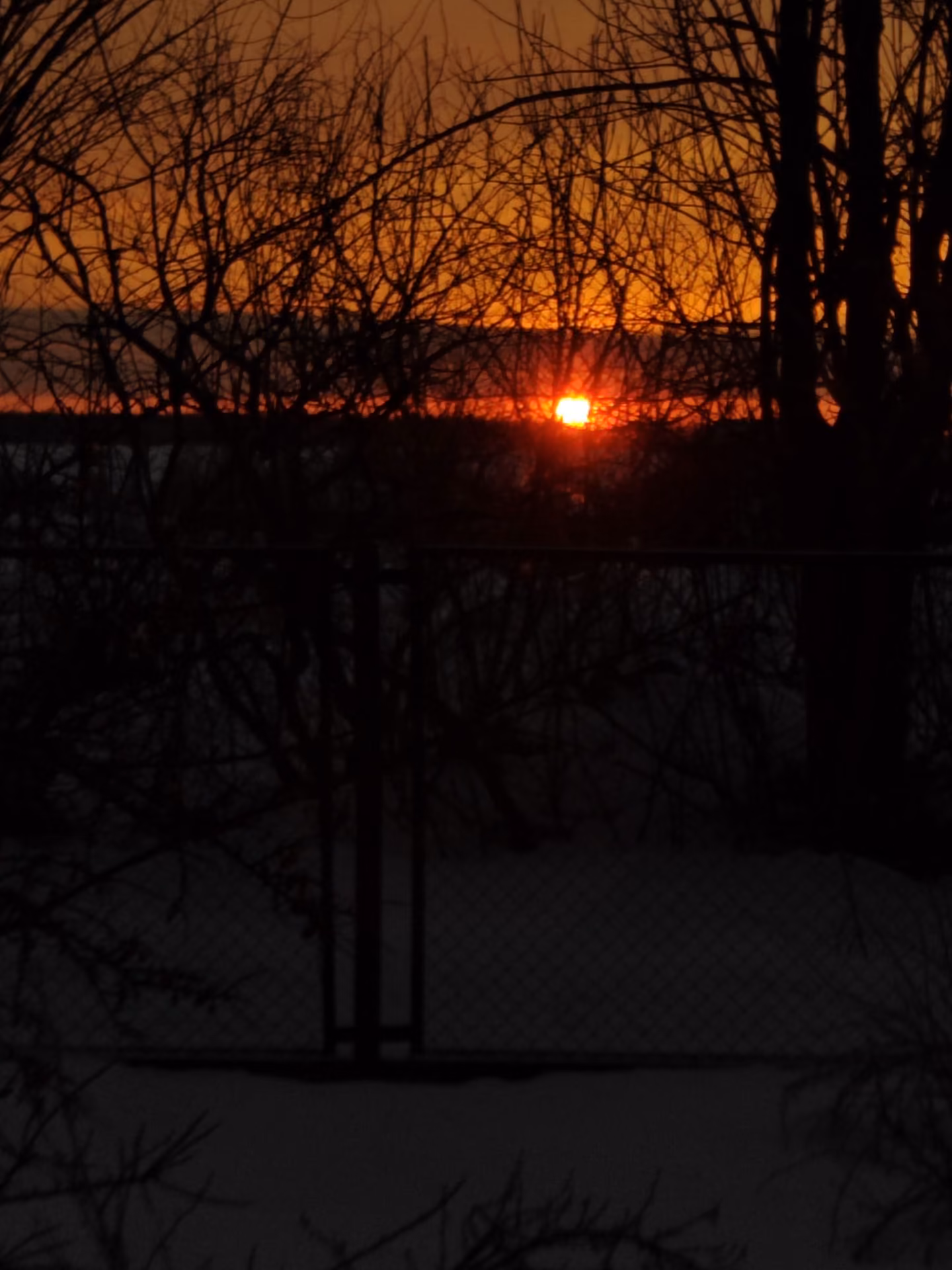 8060f97445288c1a487b2529501c6a21.jpg
