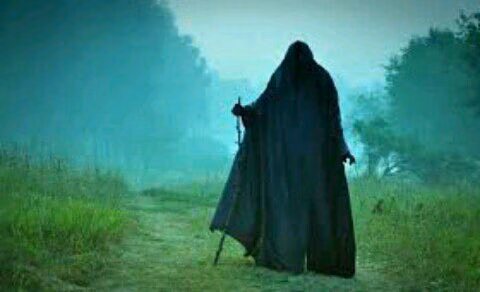 80a8c8ddd2f6d66cf4864cf7dde4e8ed.avif