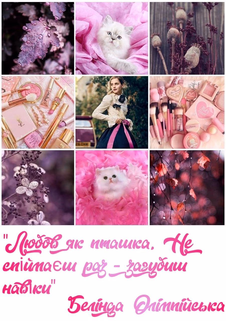 80aef790802ab5de622ba338a5d4c108.jpg