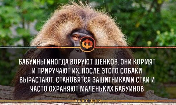 80b3b1a7a73ad70d3a2e2bd0688cd1b6.jpg