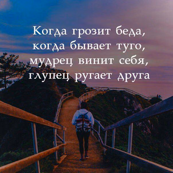 80c67333e4877ea5aa6c56b8f5bbe39b.jpg