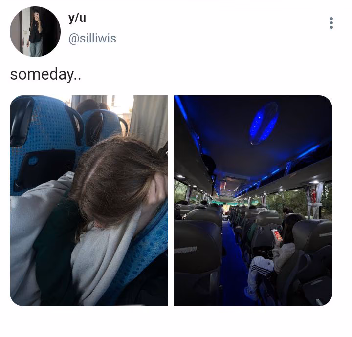 80d094f0306788269c4d54c91d5cacff.jpg