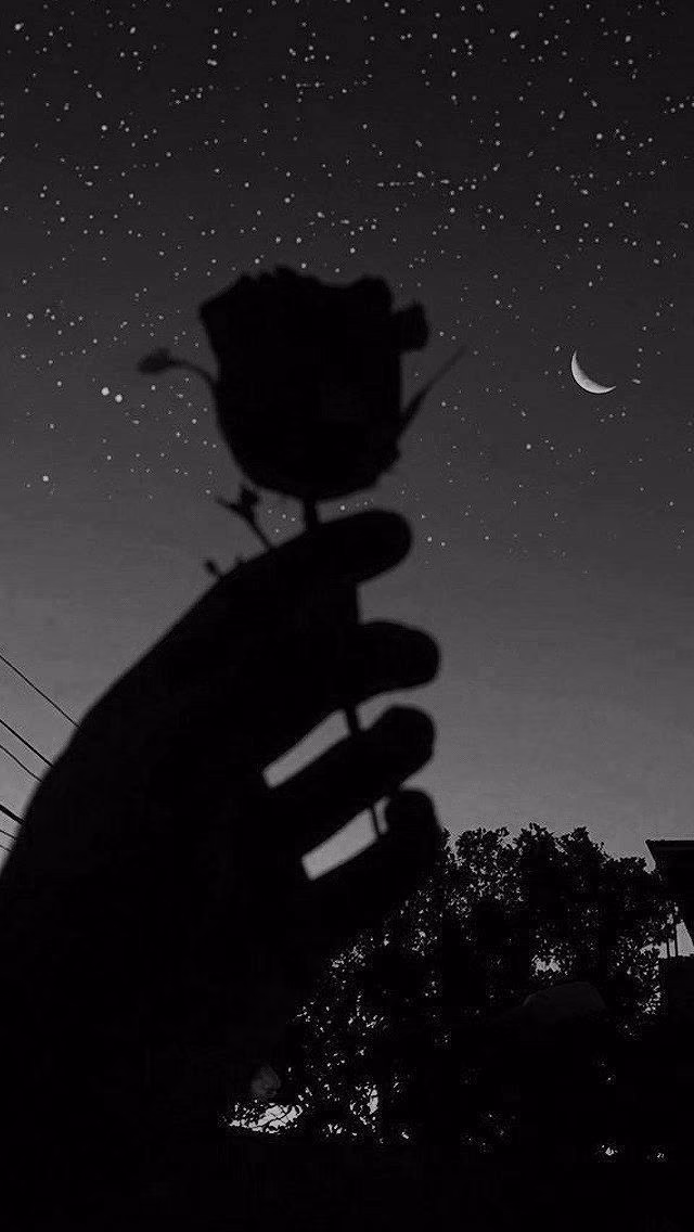 80d96bdaa801b67315b3db4af3f1ac07.avif
