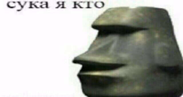 80e4e1d4ae440d3b0f63558cb188dbee.avif