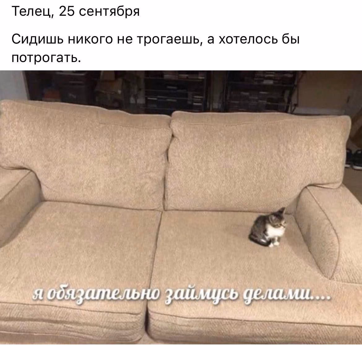 80eaa45d161039f5511a589142a5d954.jpg