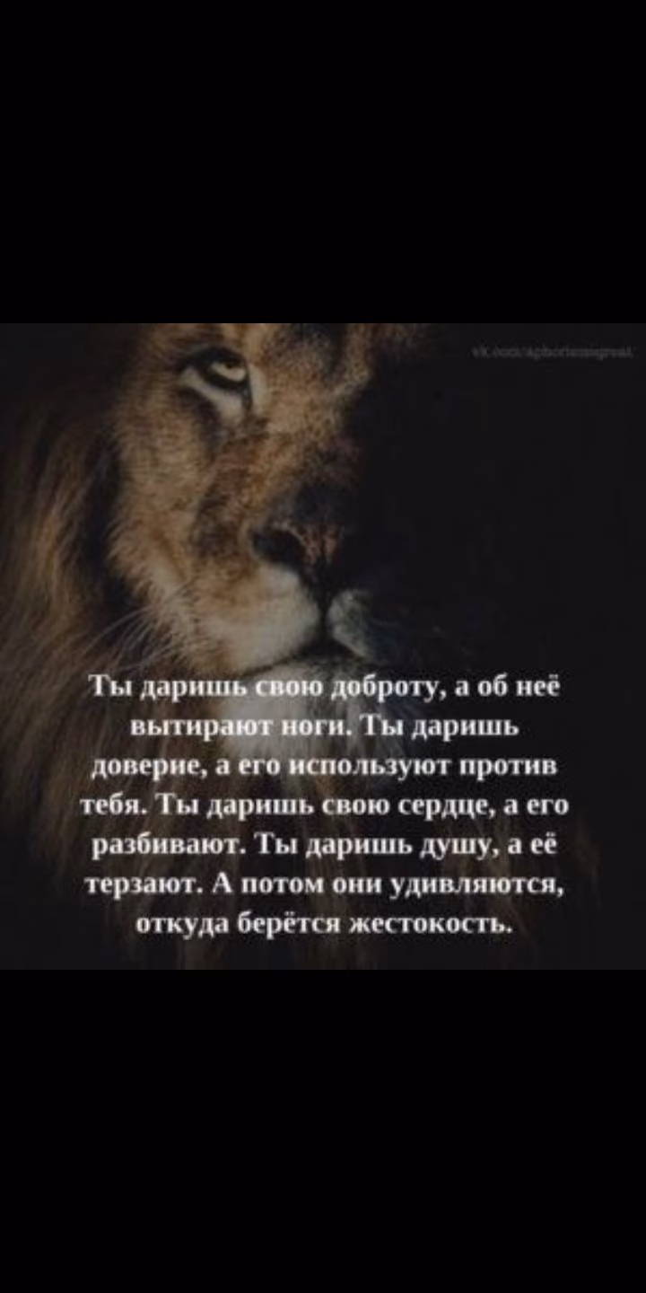 80ffa866829cd9bbd34d8ae64362f27c.jpg