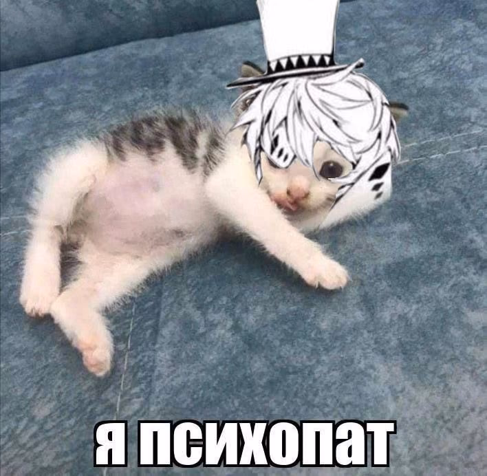 80fff666cd4f40f6ffc7f21b83902244.jpg