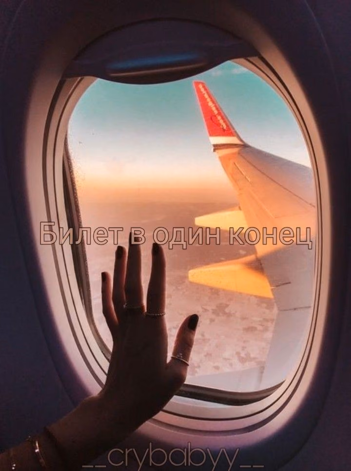 81019a42f2ce177db74407c7eb228d2c.avif