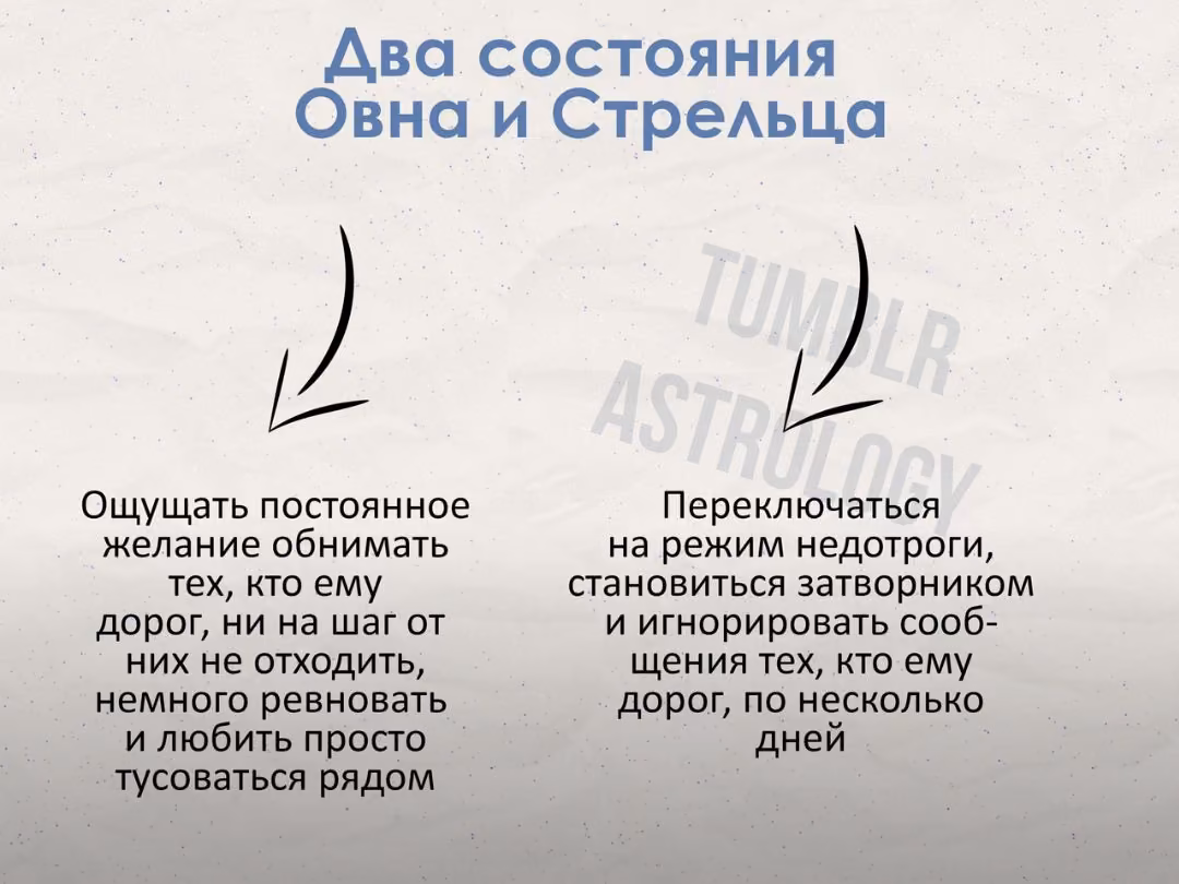 810af49449ae00e2b101bdde8c87a32e.avif