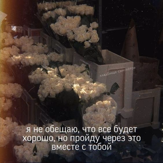 810c65b82ec12a1c280bb0e38782f42e.jpg