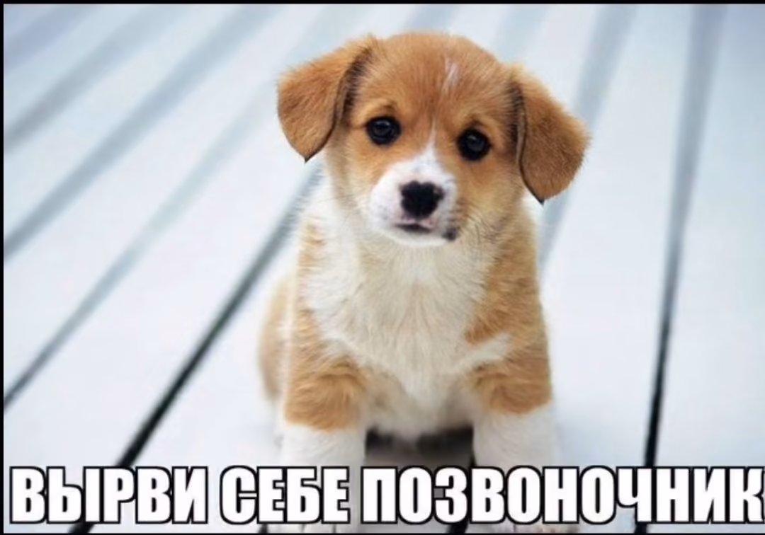 8116498b5eba9209d646bbce4cf8d055.avif