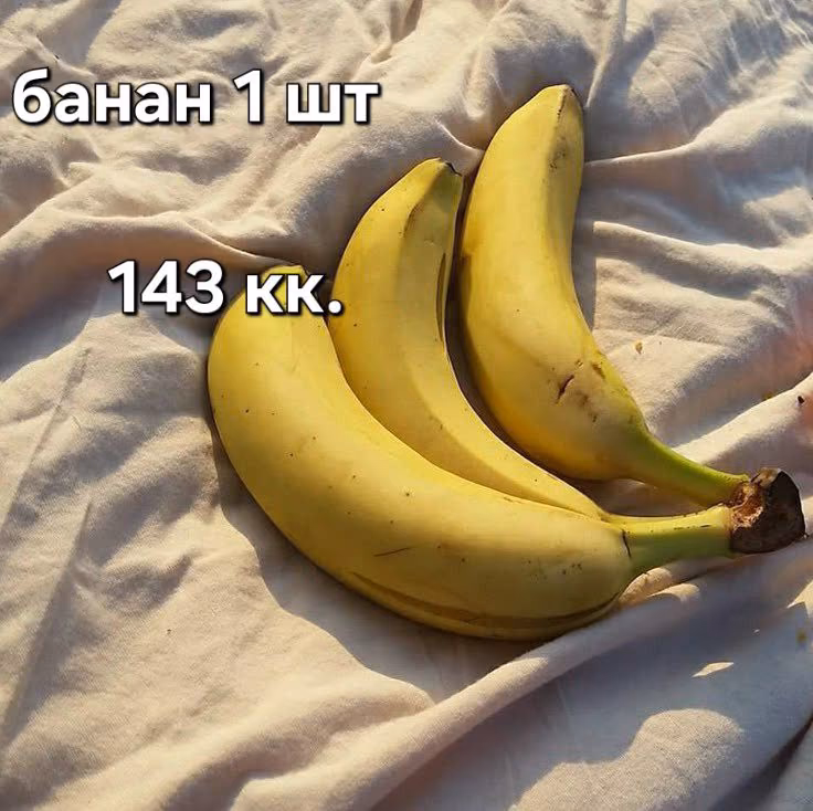 8123c3a65dedc1f909e0233bf16df1a1.avif
