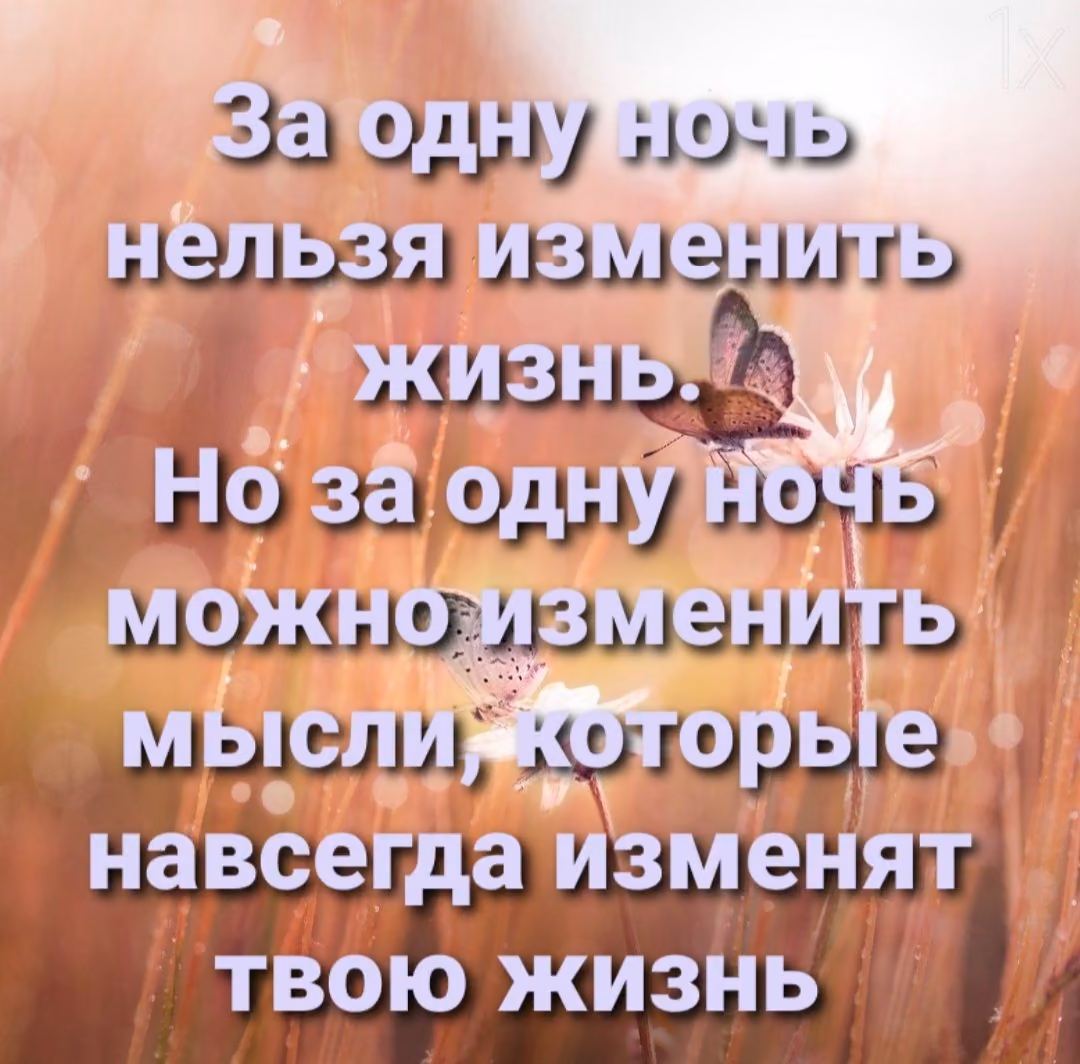 81255a90bcbf5177c1ae56539962d75d.jpg