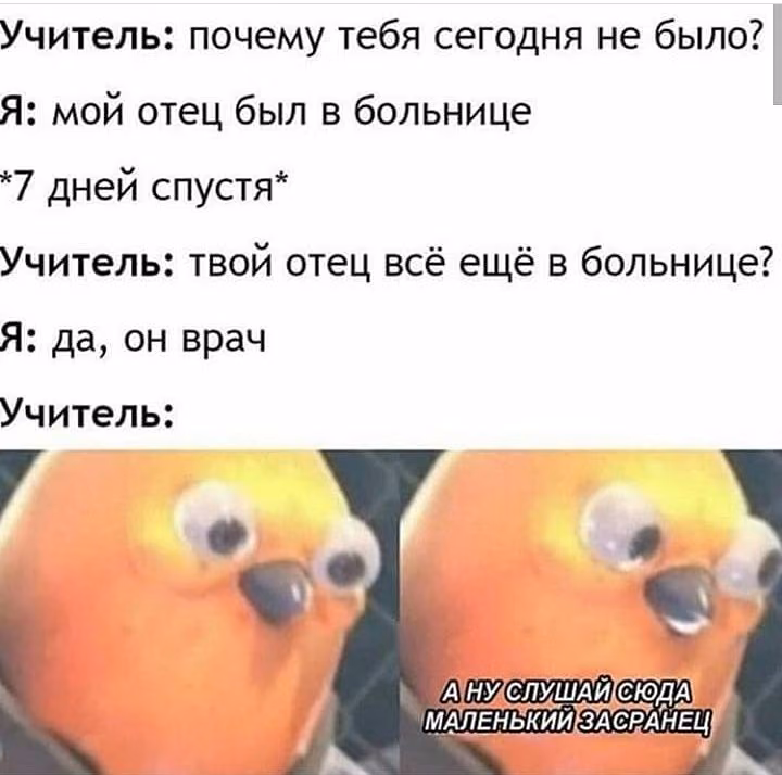 812755dd954bd6cf31c65446bfb16de3.avif