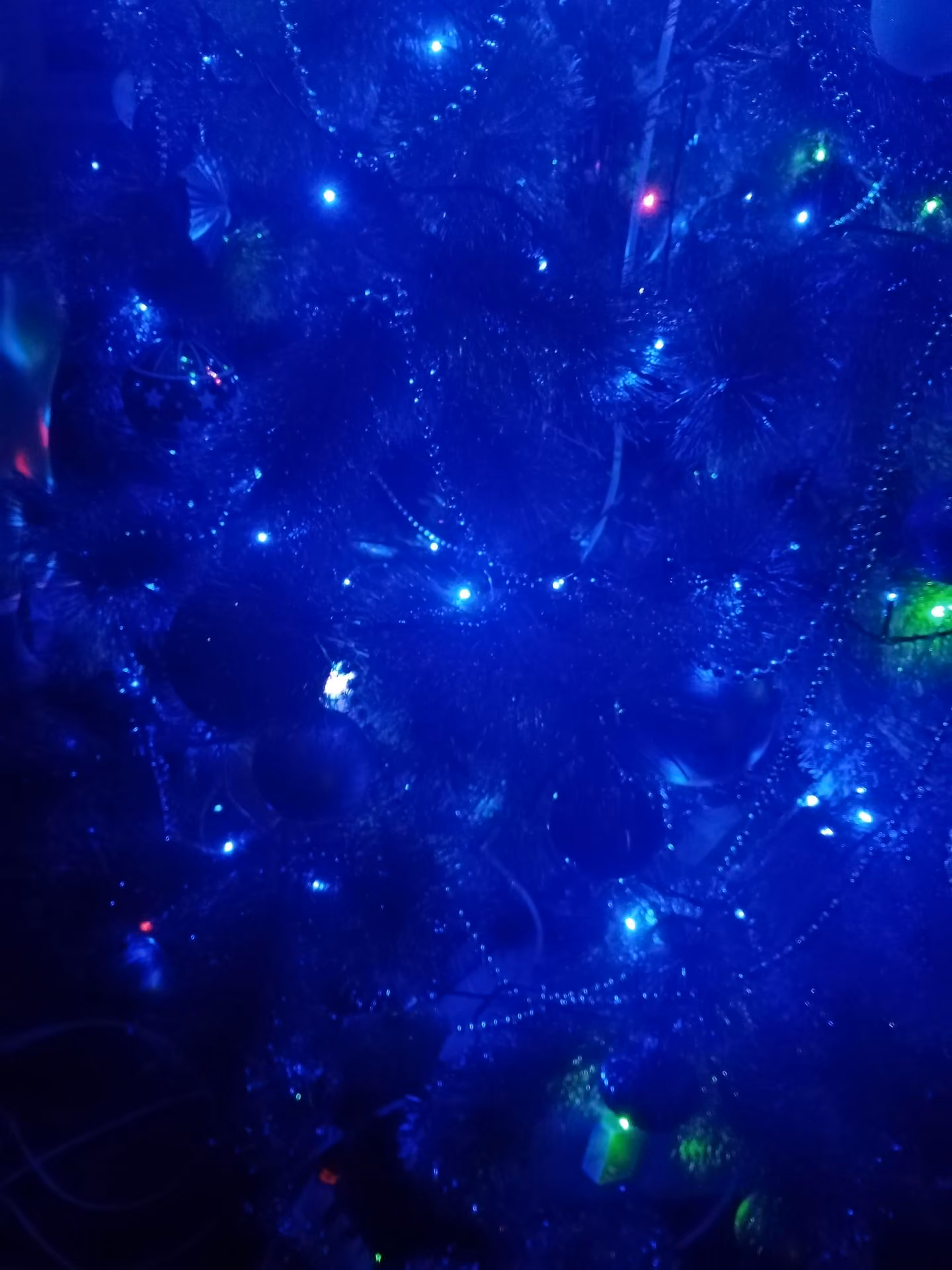 81281eb8107528a21e7709945ec91271.jpg