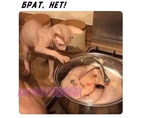 81330eaffa34aca038d2571a243ae9db.jpg