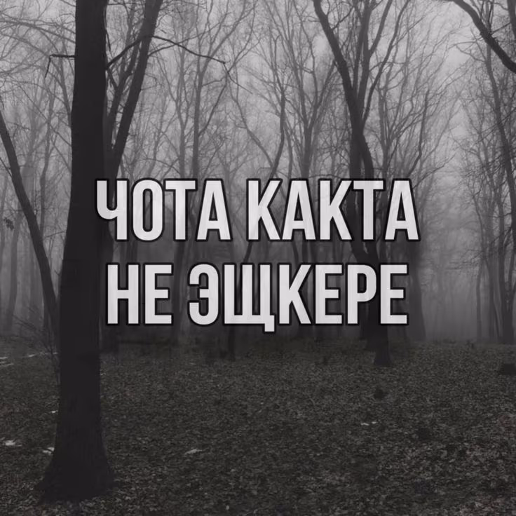 8137e87a5df243947296abb929554532.jpg